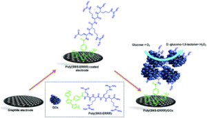 Peptide Solubility