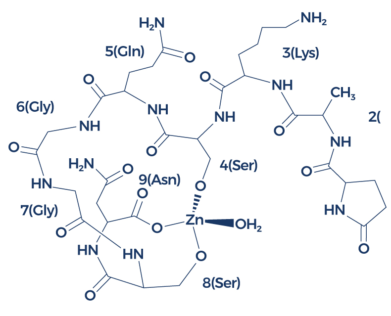 Thymulin Tfa Salt Link Peptide www.peptideswiki.org